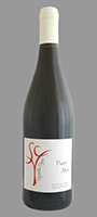 [PINOT NOIR COGNE 23] Pinot Noir 2023 IGP Val de Loire Cogné (75)