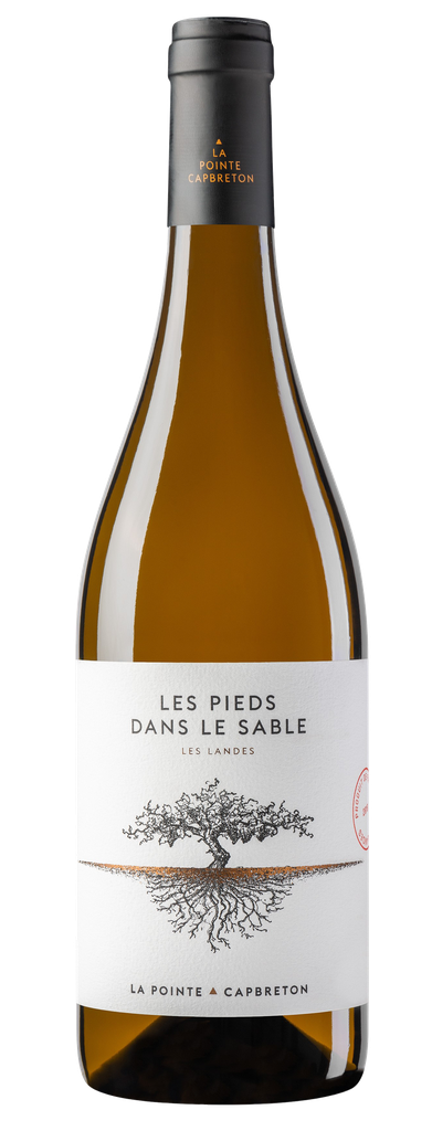 Les pieds dans le sable 2021 blanc Domaine de la pointe (75)