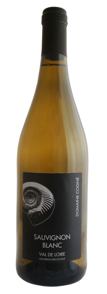 SAUVIGNON 2022 IGP Val de Loire Cogné (75)