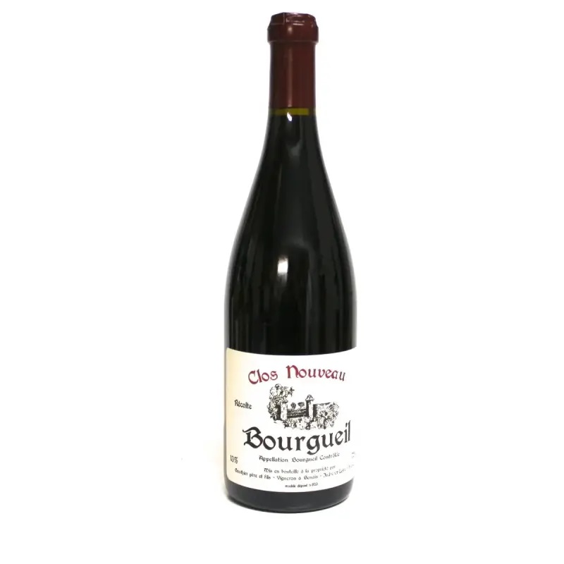 Bourgueil CLOS NOUVEAU 2020 Domaine de Bel Air Gauthier (Magnum)