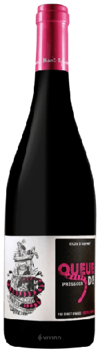 [SO/Clos Audhuy/Queue Pressoir/rouge/2022] Queue de Pressoir 2022 du Clos d’Audhuy (75)