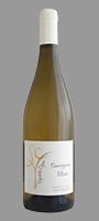 [LOI/Cogné/Sauvignon/blanc/2023] Sauvignon 2023 IGP Val de Loire Cogné (75)